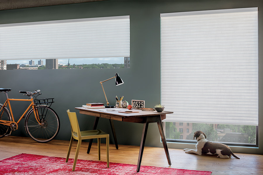 White window shades on large home office windows with a dog