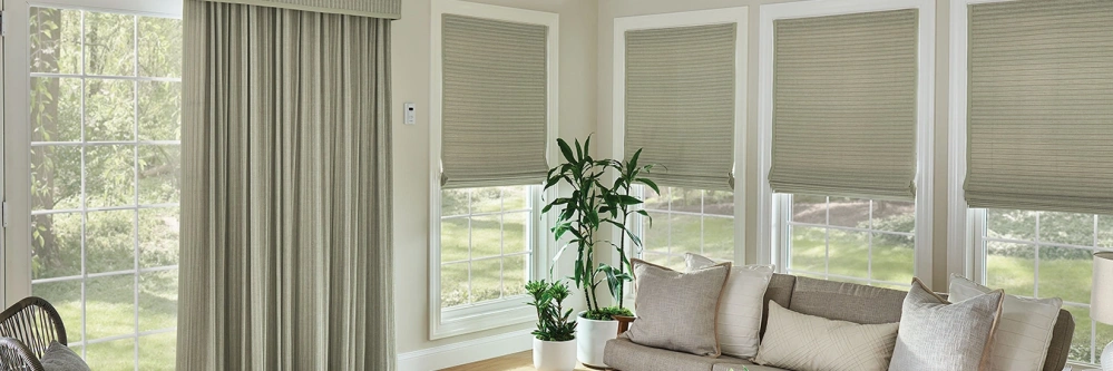 Sage green window shades and drapes on living room windows